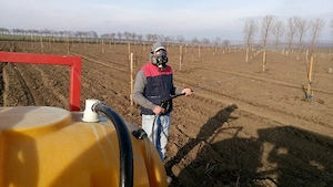 Plantare pomi fructiferi, viță-de-vie și alte plante.
