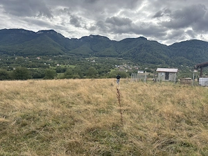 Teren de vânzare 2100 m2 zona Tohanita Zărnești  - imagine 3