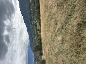 Teren de vânzare 2100 m2 zona Tohanita Zărnești  - imagine 4
