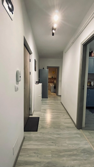 Direct de la propietar!Apartament de vanzare Valea Lupului Popas Pacurari - imagine 10