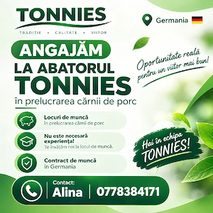      Angajam in Germania 