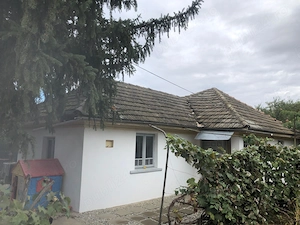 Casă batraneasca renovata cu 1000 mp teren,la 25 km de București, de vânzare, direct proprietar. - imagine 20