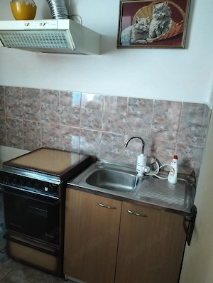 Inchiriez apartament cu o cameră  - imagine 3