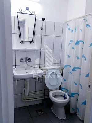 Garsoniera de vanzare, Zona Olimpia-Stadion, Timisoara - imagine 7