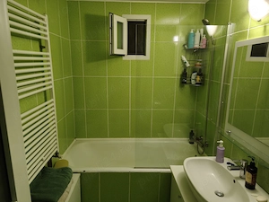 Apartament 2 camere, decomandat pe Gheorghe Dima Zorilor (pet friendly) - imagine 4