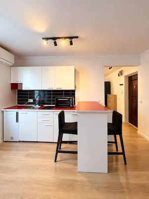 Apartament 1 camera  renovat | Central   Ba lcescu | 5 min UVT | Privelis te superba  - imagine 6