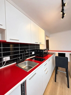 Apartament 1 camera  renovat | Central   Ba lcescu | 5 min UVT | Privelis te superba  - imagine 7