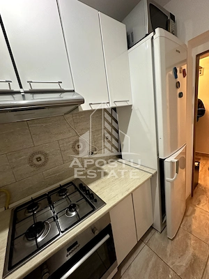 Apartament 2 camere de inchiriat, Centrala proprie, Olimpia, Timisoara - imagine 9