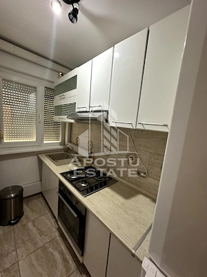 Apartament 2 camere de inchiriat, Centrala proprie, Olimpia, Timisoara - imagine 10
