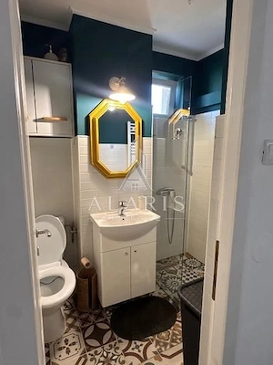 Apartament cu 2 camere, decomandat, zona Torontalului - imagine 13