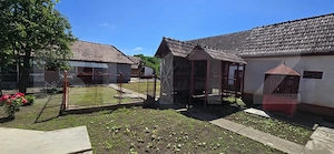Proprietate cu 2 Case și Anexe, Teren 3.398 mp – Deaj - imagine 7