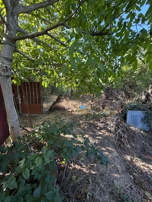Casa 80 mp, teren 1683 mp, zona Cosoveni - imagine 4