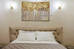Apartament Zona centrala