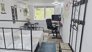 Vand proprietate in Deva, zona A. Vlaicu, compusa din casa de locuit si anexa  - imagine 18