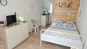 Vand proprietate in Deva, zona A. Vlaicu, compusa din casa de locuit si anexa  - imagine 12