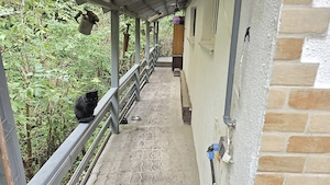 Vand proprietate in Deva, zona A. Vlaicu, compusa din casa de locuit si anexa  - imagine 11