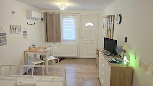 Vand proprietate in Deva, zona A. Vlaicu, compusa din casa de locuit si anexa  - imagine 17