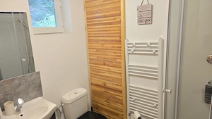 Vand proprietate in Deva, zona A. Vlaicu, compusa din casa de locuit si anexa  - imagine 16