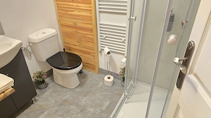 Vand proprietate in Deva, zona A. Vlaicu, compusa din casa de locuit si anexa  - imagine 15