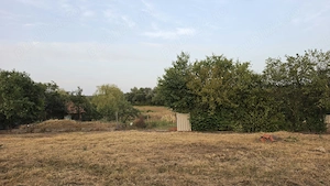 Teren intravinal   Vermeș, Caraș-Severin - imagine 3