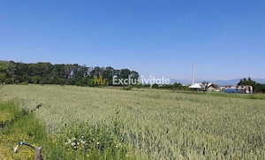 Teren 10.294 mp de vânzare Târgu Jiu | Intravilan + Extravilan | Utilități - imagine 2