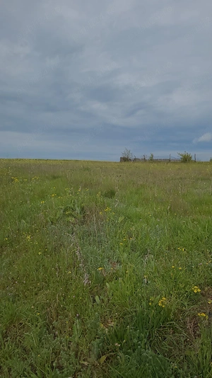 vând teren intravilan în Delta Dunării  - imagine 4