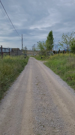vând teren intravilan în Delta Dunării  - imagine 2