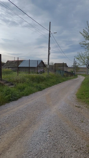 vând teren intravilan în Delta Dunării  - imagine 3
