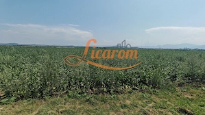 Teren intravilan 3,85 ha,Brasov DN 13 langa MILLE, OLYMPUS, ARKADA - imagine 3