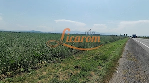 Teren intravilan 3,85 ha,Brasov DN 13 langa MILLE, OLYMPUS, ARKADA - imagine 2