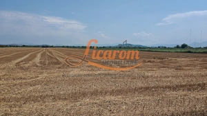 Teren intravilan 3,85 ha,Brasov DN 13 langa MILLE, OLYMPUS, ARKADA - imagine 5