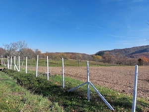 Surduc, de vanzare langa lacul Surduc curte si gradina cu fantana, documente de proprietate la zi