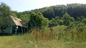 Casă de vanzare cu teren și pădure