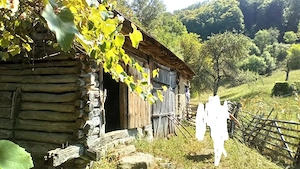 Casă de vanzare cu teren și pădure - imagine 2