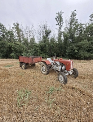 Tractor Steyr T84 (1956) + Remorcă   Complet și Funcțional (Piesă de colecție) - imagine 2