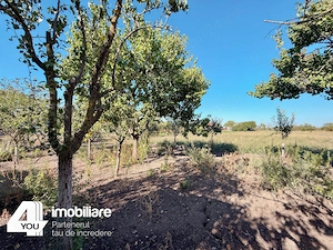 Proprietate în Țipari, formată din casă cu anexe+ teren intravilan 2880 mp - imagine 14