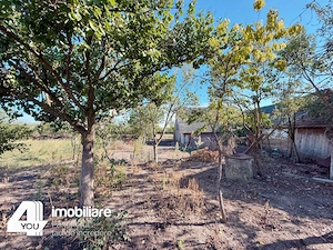 Proprietate în Țipari, formată din casă cu anexe+ teren intravilan 2880 mp - imagine 15