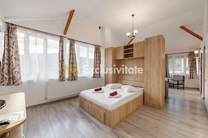 Pensiune Calimanesti, jud. Valcea - imagine 10