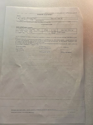 Surduc, de vanzare langa lacul Surduc curte si gradina cu fantana, documente de proprietate la zi - imagine 4