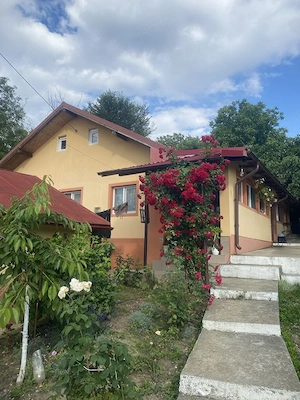 Vând casă în Seciu, Boldești-Scăeni   1450 mp teren, proprietar