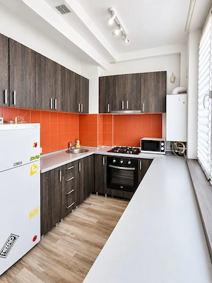 Apartament Ared Uta 1 camera de inchiriat - imagine 3