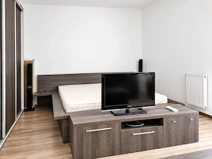 Apartament Ared Uta 1 camera de inchiriat - imagine 7
