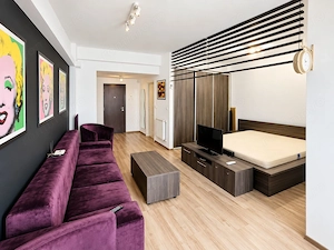Apartament Ared Uta 1 camera de inchiriat - imagine 2