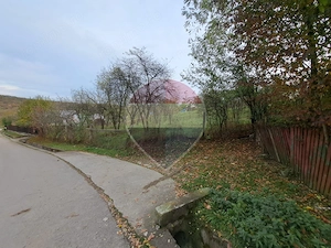 Teren intravilan 3500mp | Cotofenesti, Prahova