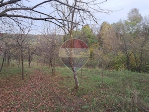 Teren intravilan 3500mp | Cotofenesti, Prahova - imagine 9