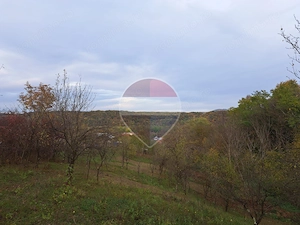 Teren intravilan 3500mp | Cotofenesti, Prahova - imagine 7