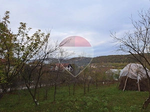 Teren intravilan 3500mp | Cotofenesti, Prahova - imagine 5