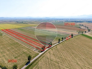 Teren 30,000mp Halchiu /Satul Nou