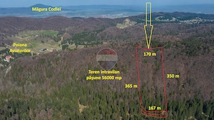 Teren intravilan, 56000 mp, Poiana Braşov