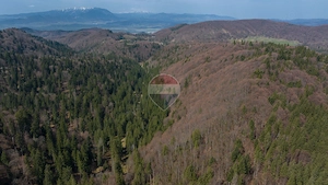 Teren intravilan, 56000 mp, Poiana Braşov - imagine 13